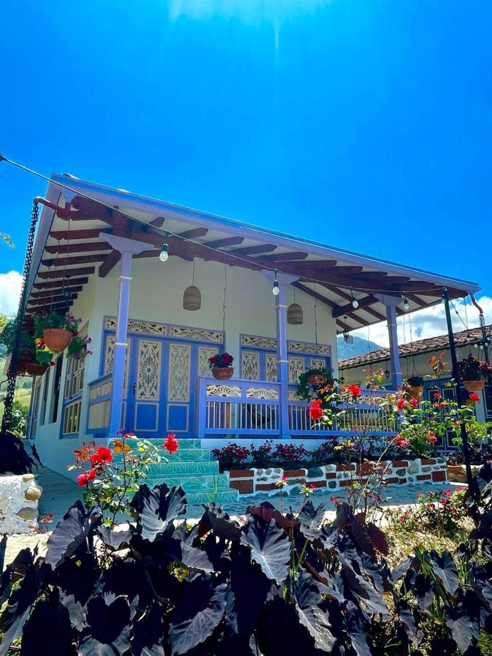 Hotel Lago Valdivia Jardín Zewnętrze zdjęcie