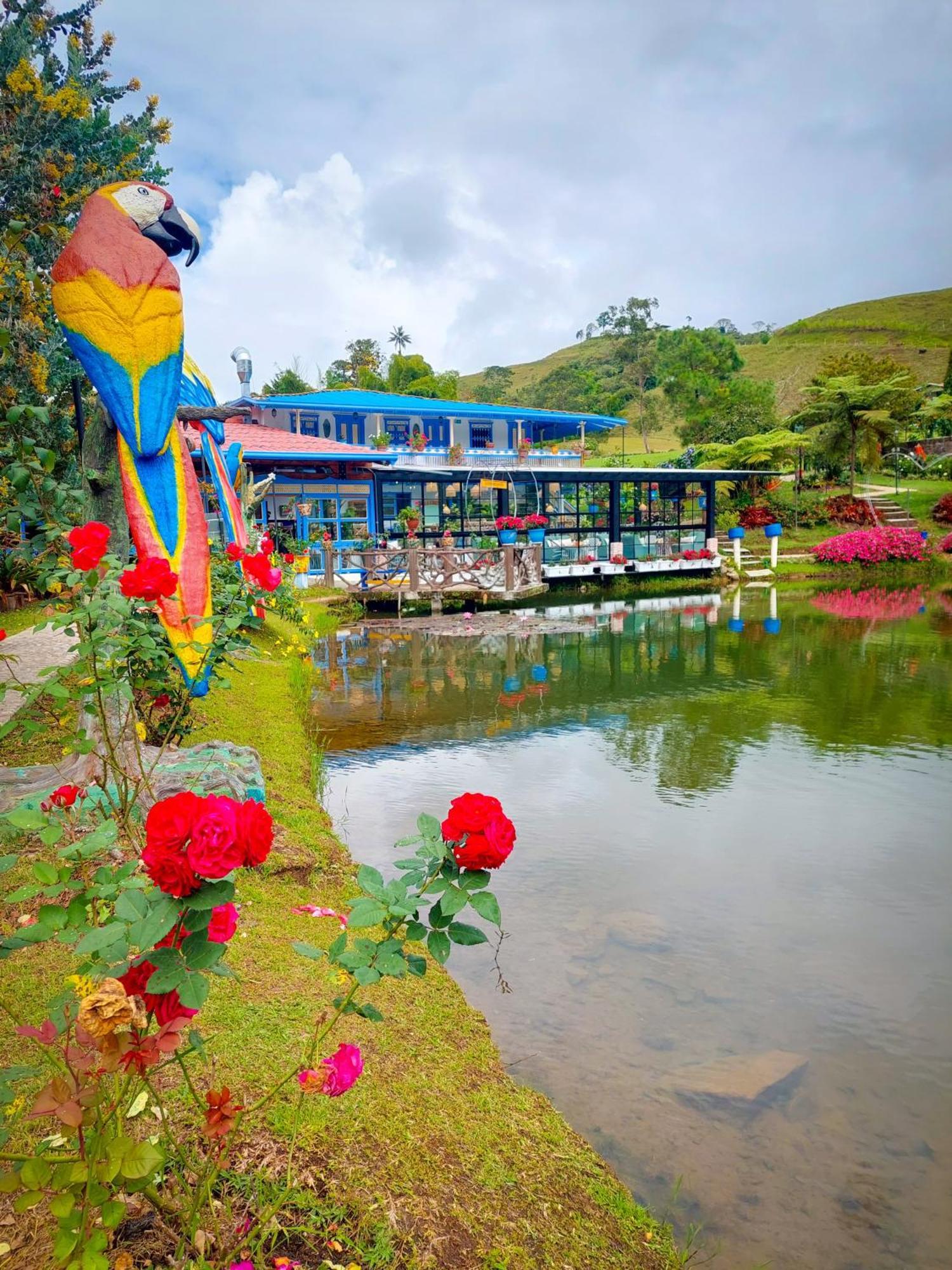 Hotel Lago Valdivia Jardín Zewnętrze zdjęcie